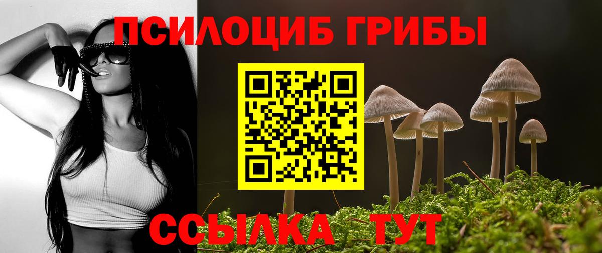 Псилоцибиновые грибы Psilocybine cubensis  Вход с VPN  Семилуки 